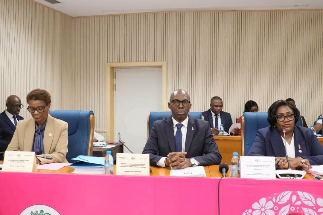  Anges Kevin NZIGOU présent la vision de la plateforme